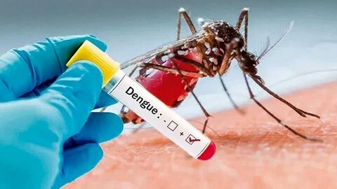 ۲ مبتلای قطعی به تب دنگی و ۴۰۰ مورد مشکوک در هرمزگان شناسایی شدند