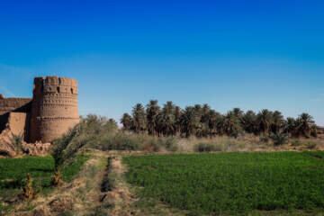شفیع‌آباد، بهترین روستای گردشگری جهان در سال ۲۰۲۵