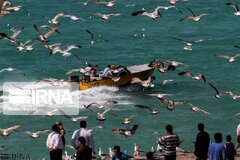 تداوم فعالیت مراکز گردشگری هرمزگان/ جابجایی ۲۲۹ هزار گردشگر به جزایر