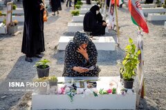 «شجره طیبه میناب»؛ بغض خفته در گلوی ایران